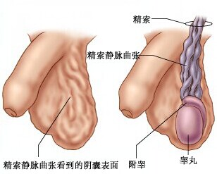 汾陽(yáng)酒都醫(yī)院