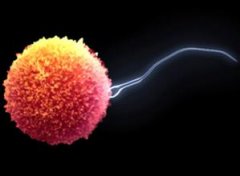 汾陽治療精子活力差需要多少錢？