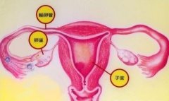 輸卵管炎病發(fā)期在什么時(shí)候？
