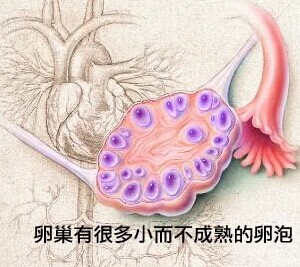 汾陽酒都醫(yī)院
