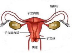 專(zhuān)家提醒：別讓卵巢早衰危及你的生育力!