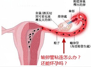 汾陽酒都醫(yī)院