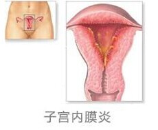 汾陽酒都醫(yī)院